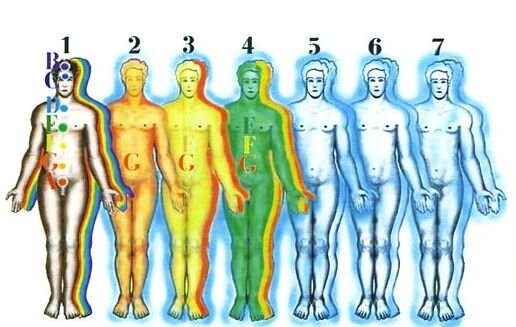 1-физическое тело, 2-эфирное, 3-астральное, 4-1-ое ментальное, 5-2-ое,ментальное, 6-3-е ментальное, 7-4-ое ментальное, далее в Космос