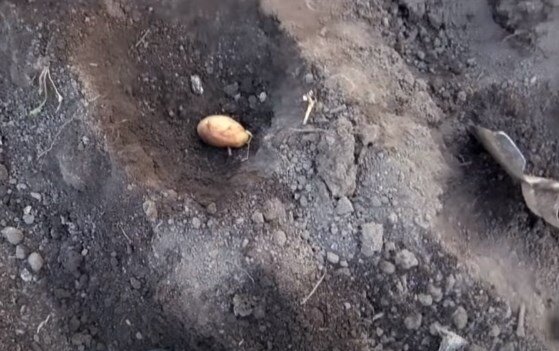 процесс посадки