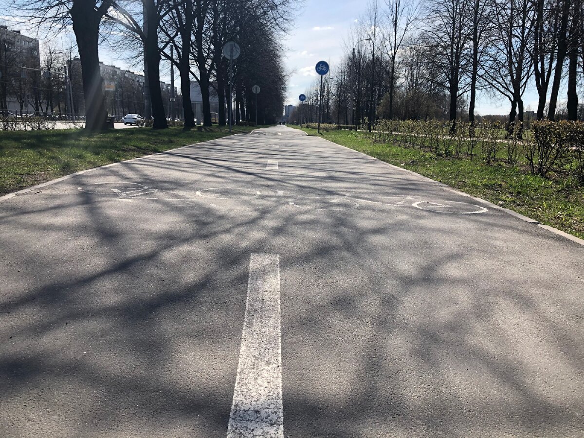 Велодорожка на Пискарёвском проспекте