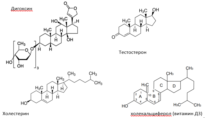 Примеры веществ, в строении которых присутствует циклопентанпергидрофенантрен.