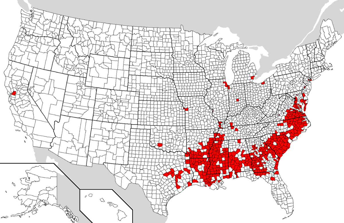 Расселение сша. Карта расселения негров в США. Карта чернокожего населения США. Карта расселения афроамериканцев в США. Расселение жителей США.