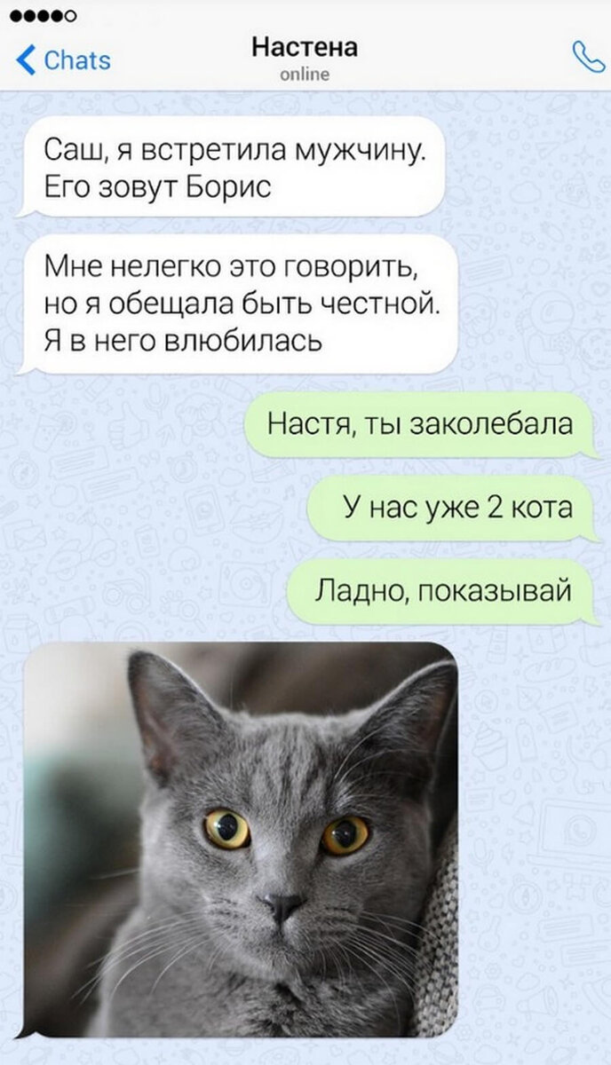 Смешные переписки мемы