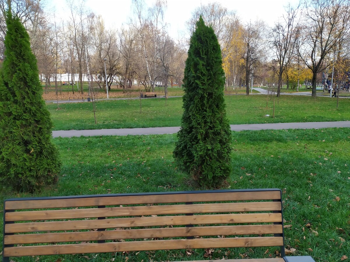 Парк (фото автора)