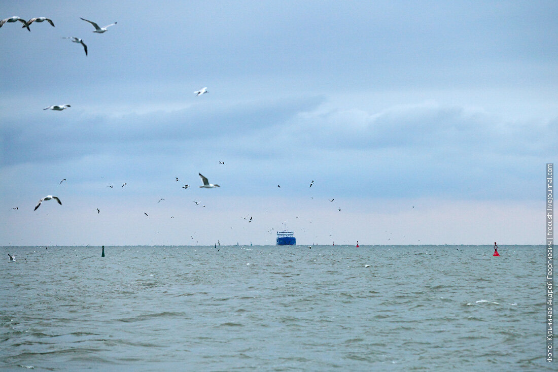 Ейск дон. Ростов на Дону Азовское море. Круизы к Азовскому морю. Азовское море круизы из Таганрога. Чайки за кормой теплохода на белого моря.