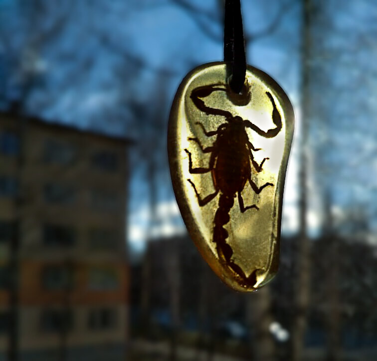 Скорпион в смоле