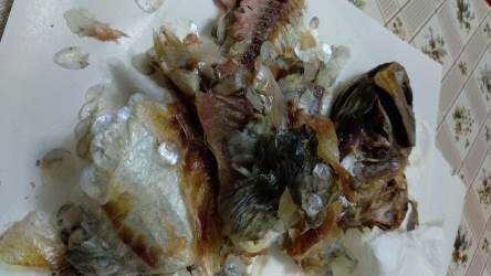 Взорвал рыбку