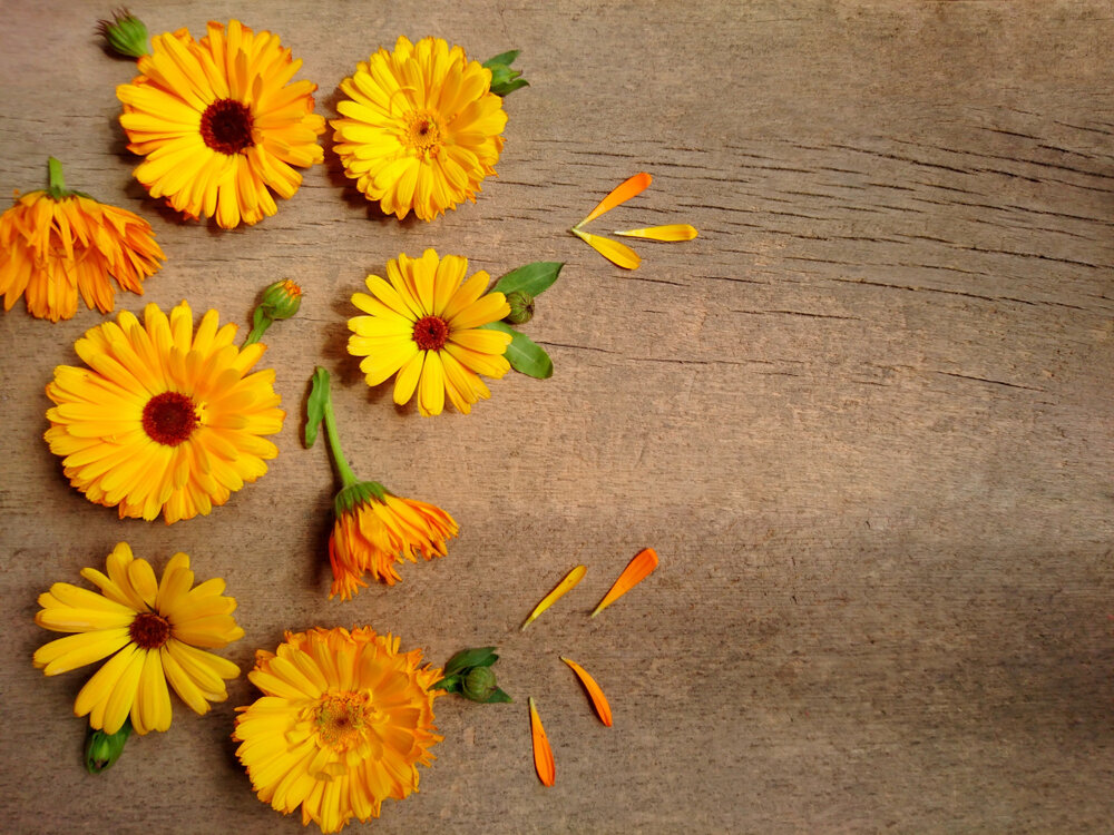 Автор: SakSa, фото приобретено на сайте www.shutterstock.com