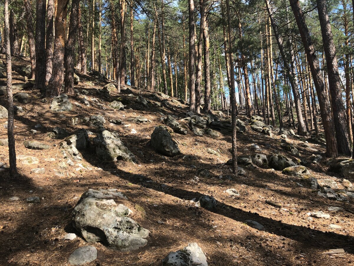 Рачеевские альпы самарской области фото