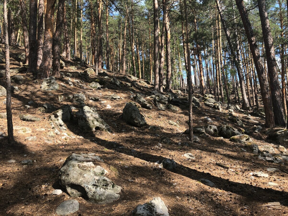 Рачеевские Альпы Самарской области