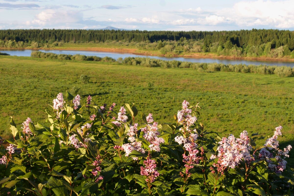 Вид на реку Колва, на берегу которой стоит Чердынь, и Полюдов камень