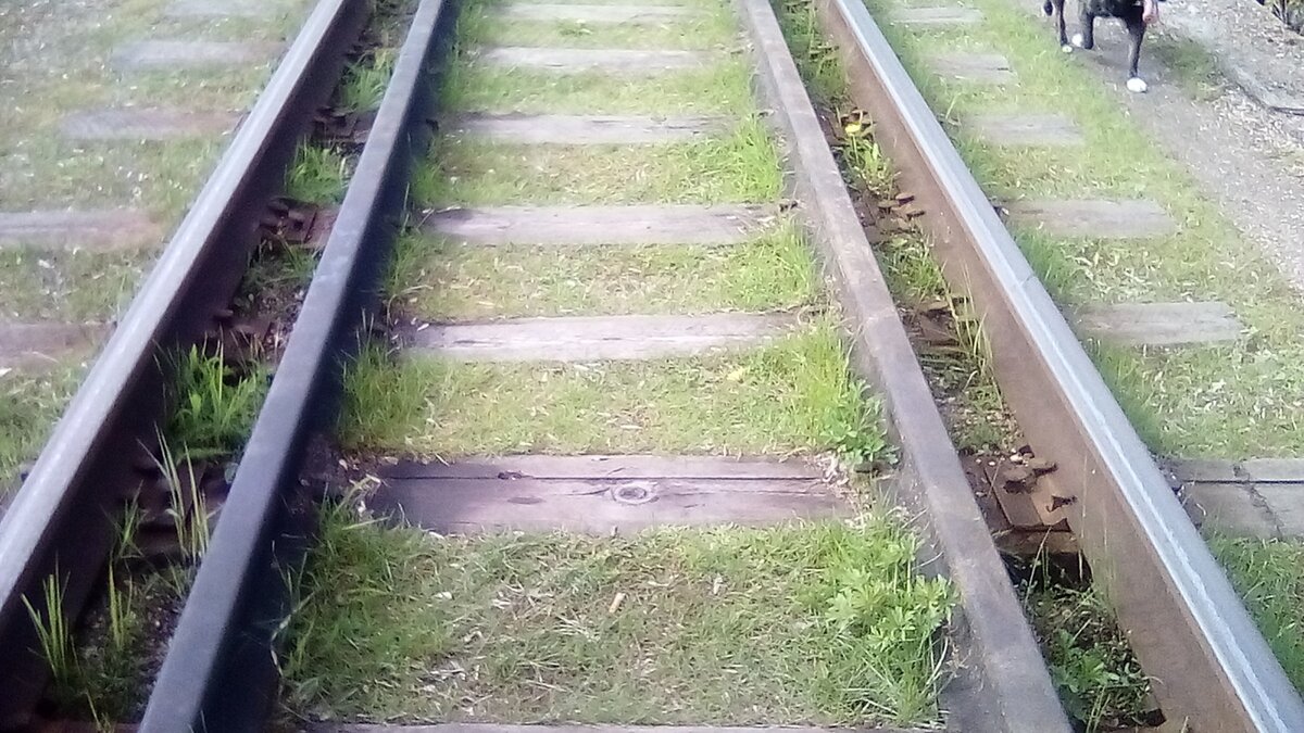 Рельсы на мосту