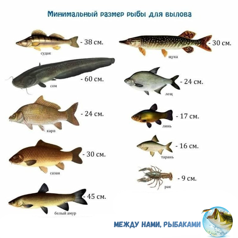 Список кредитов | Хакасский муниципальный банк