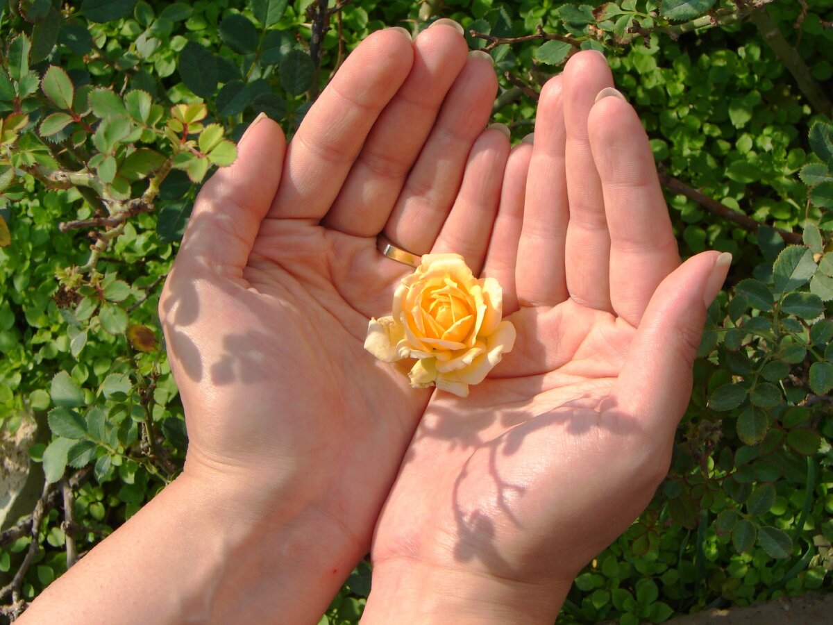 Фото создано автором статьи