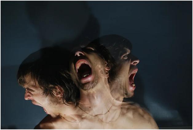 Фотография взята из источника yandex.com