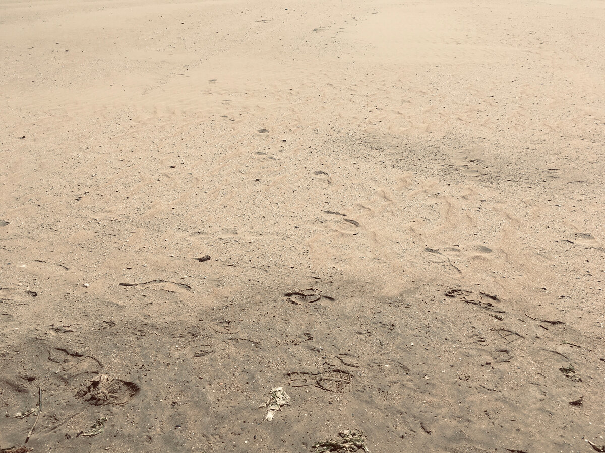 Фото: Adele Falcone специально для Piano Piano (другие владельцы пляжей предпочитают ждать до последнего)