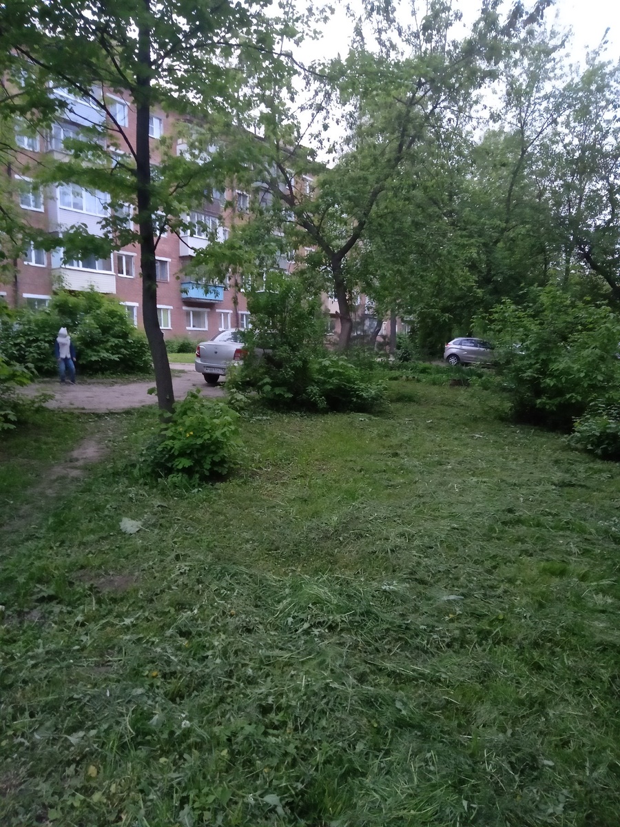 Три недели заточения и тебе кажется,что ты находишься не на улице,а в кино,что все происходит в другой реальности. Как же начинаешь ценить свободу,как радуешься небу. И все кажется таким чудесным, почему мы начинаем ценить такие простые радости только  тогда, когда их лишаешься. Но ведь скоро все вернётся на круги своя и мы опять перестанем ценить все что происходит вокруг. 
Так хочется насладиться этим воздухом,который сейчас пропитан запахом черемухи. Запах свежескошенной травы он приятен,что когда вдыхаешь этот аромат можно на минуту представить,что ты находишься где то за городом.