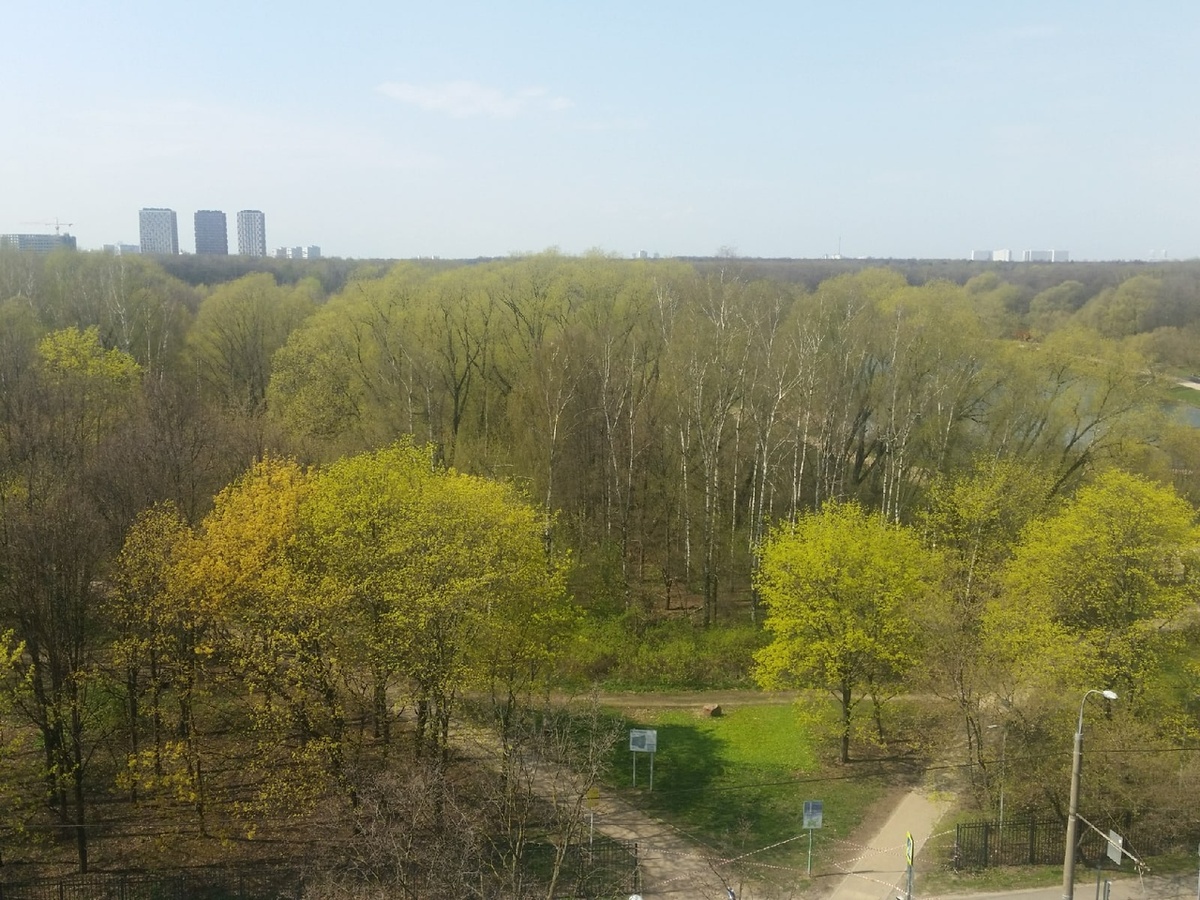 Апрельское фото, скорее всего, середина