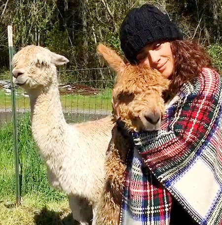 Фото из открытых источников