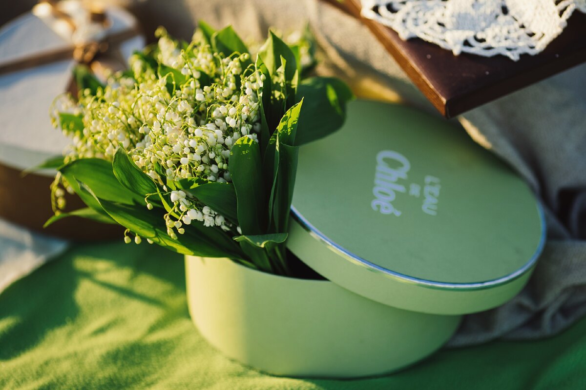 Фото: Алексей Гайдин