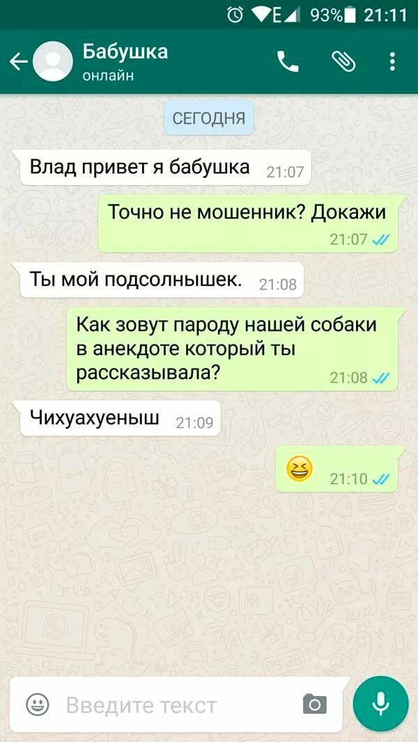 Картинки для статуса в whatsapp прикольные и ржачные