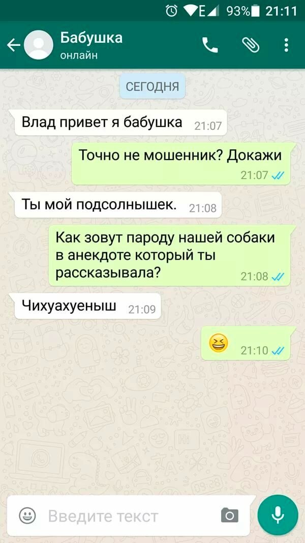 Приколы картинки для вацапа