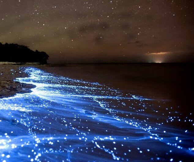 Озеро огоньков, Мальдивы.