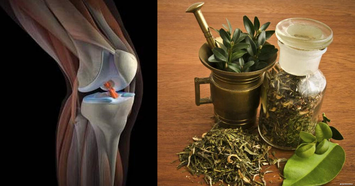 Лечение ревматизма травами