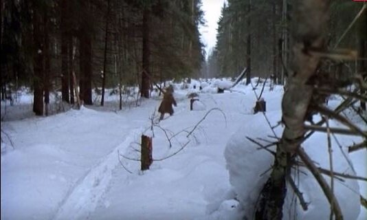 Дорога к звезде