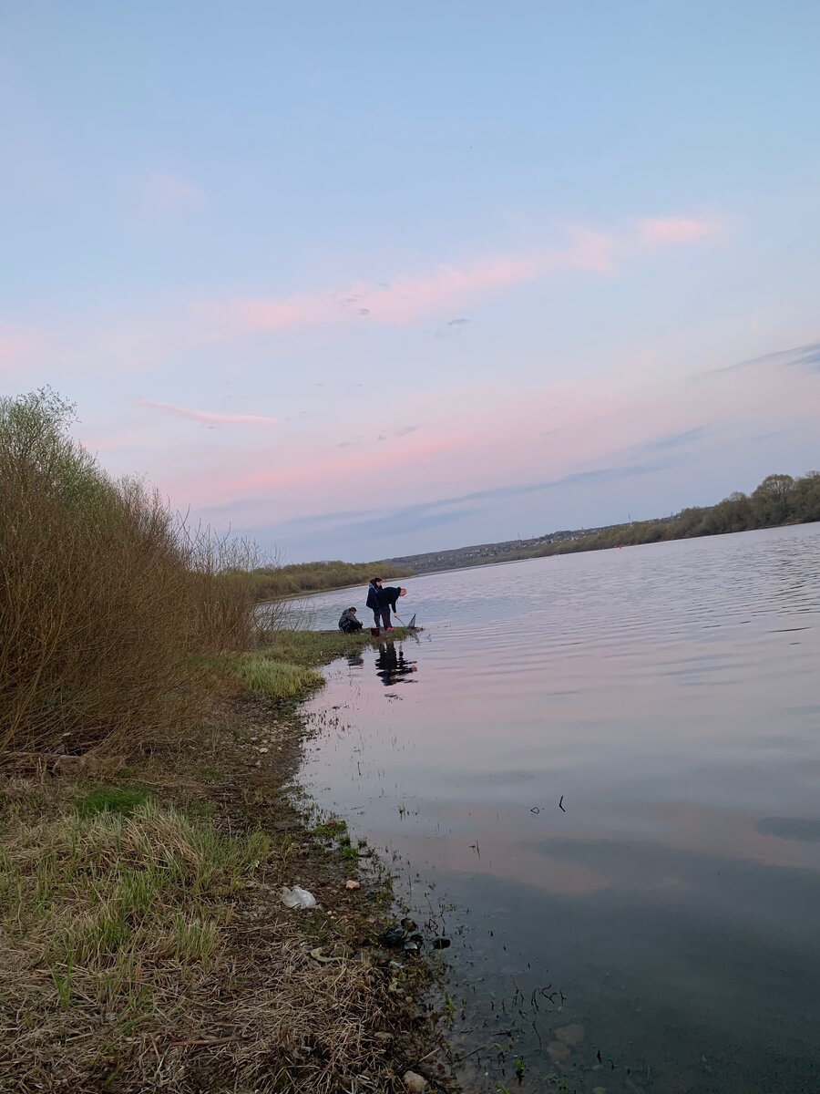 Одним прекрасным вечером! Прогулка вдоль реки Оки.(фото) | Записки на ...