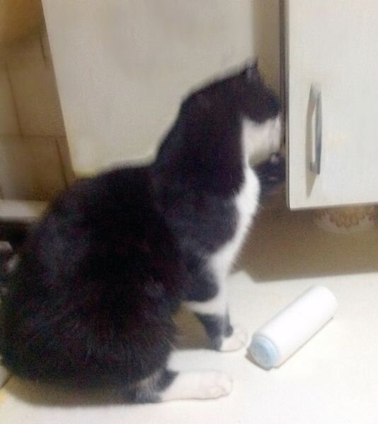 Открыть дверцу? Легко...