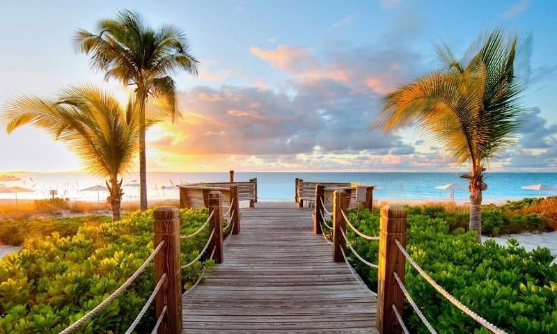 картинка взята из открытых источников