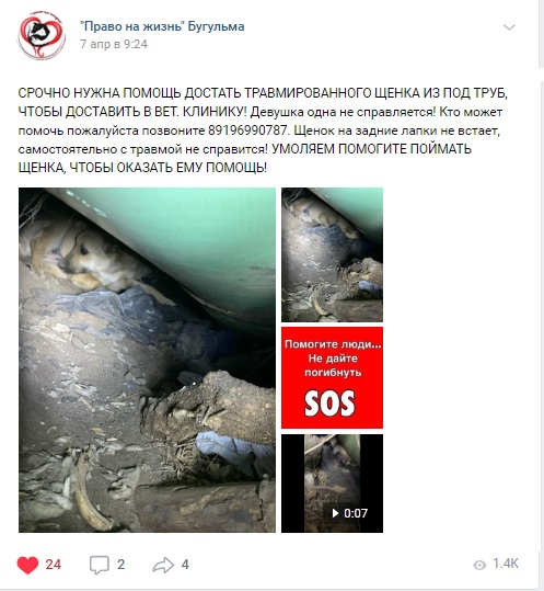 Пост о Лайме