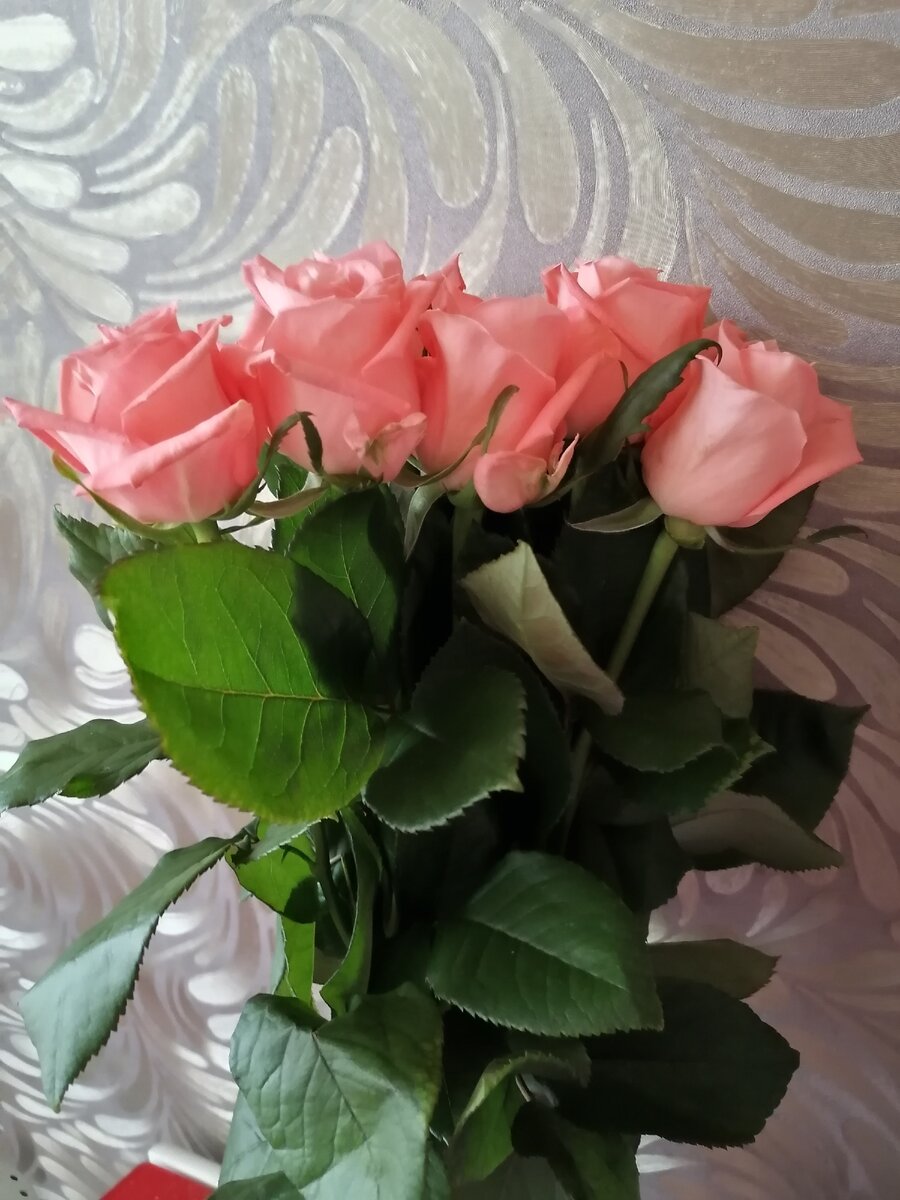 Те самые - миленькие, нежненькие, невысокие розочки