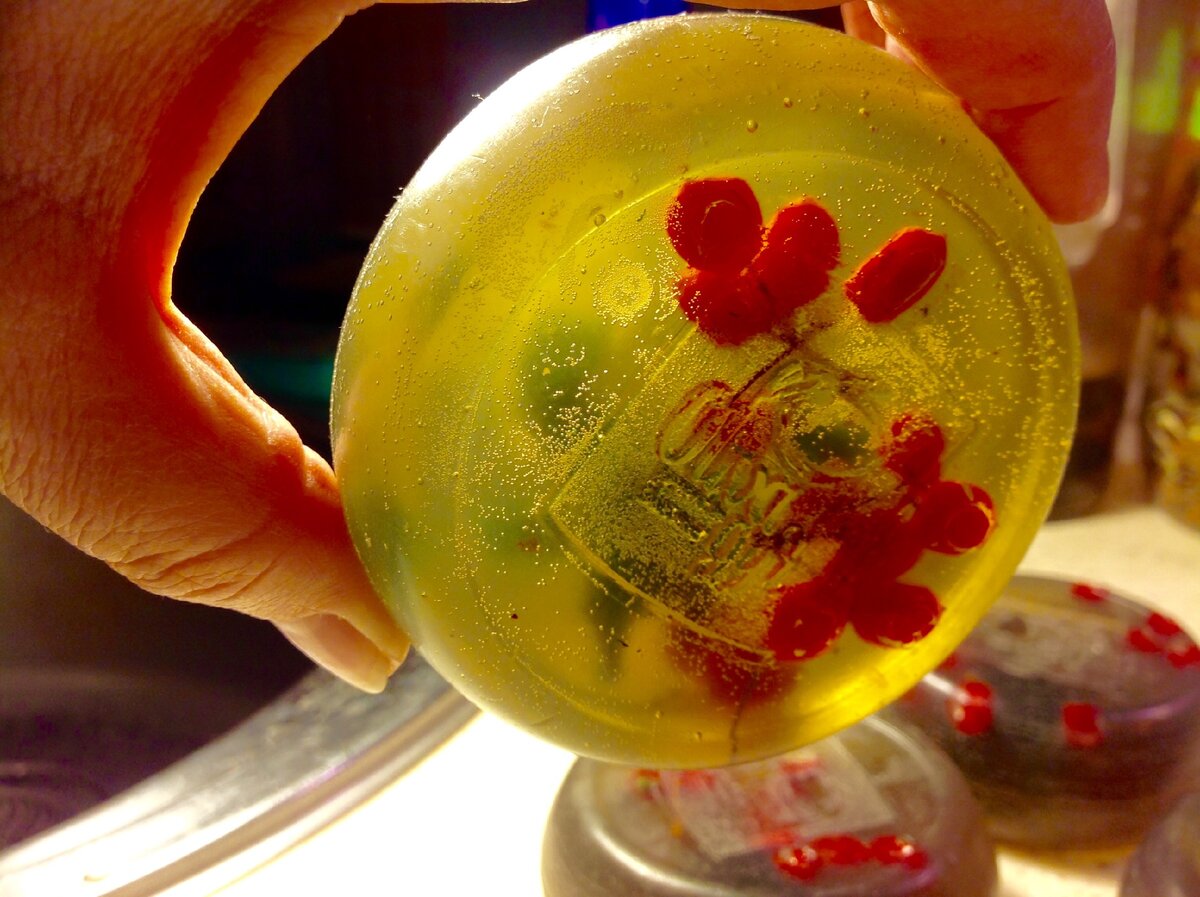 фото Ирмы Совач  мыло  ручной работы, основа с нуля, внутри ягоды калины.