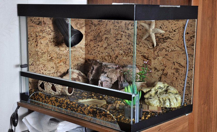 Может стоить свыше 20 000 руб. РФ!