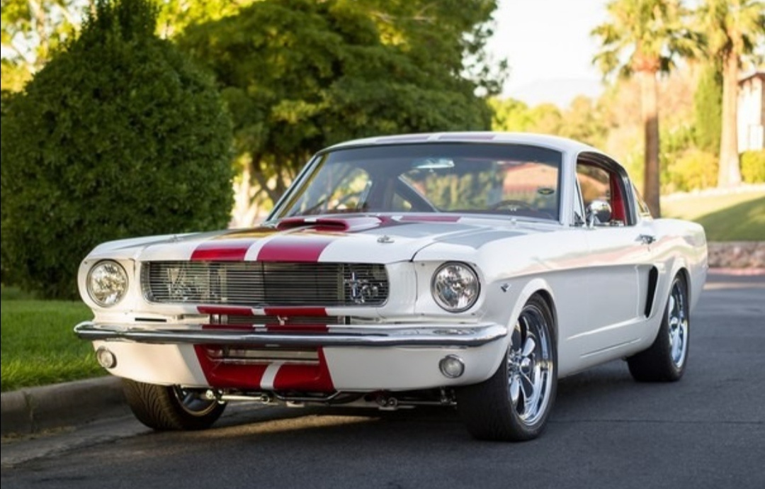 Ford Mustang 1964 - 1973 