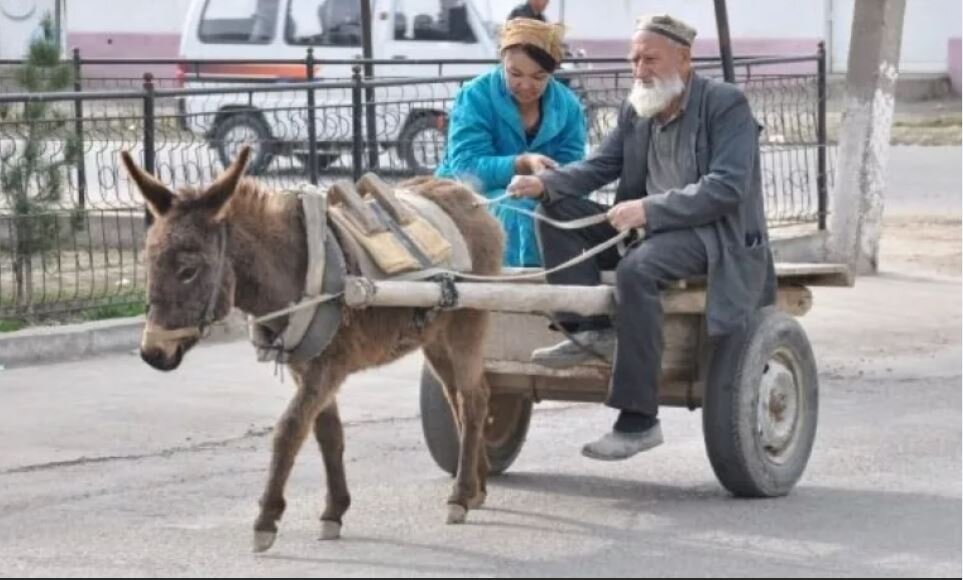 Картинка ослик везет тележку