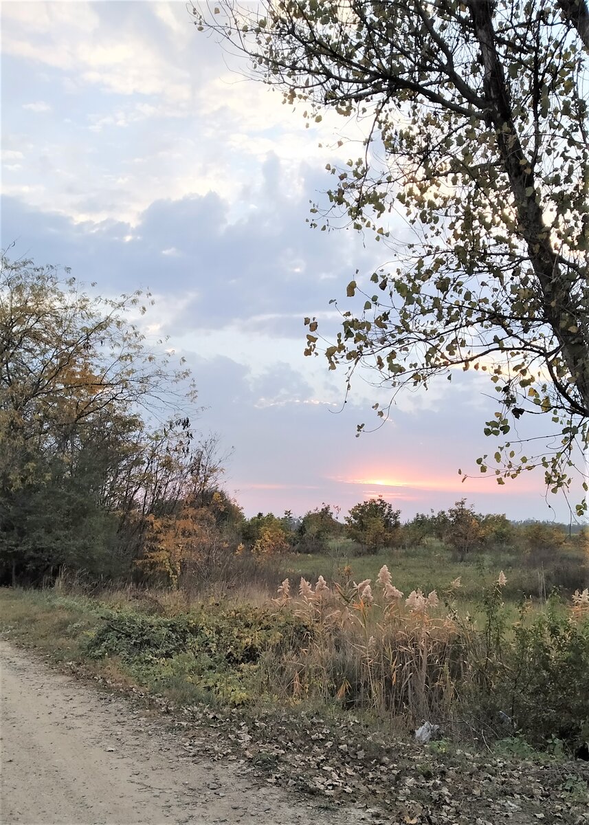 станица Динская, Краснодарский край