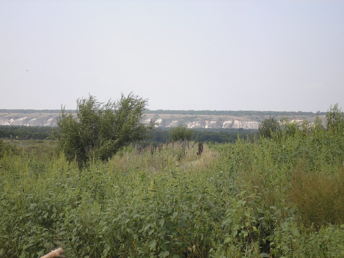 На фото правый берег Дона возвышается меловыми холмами.