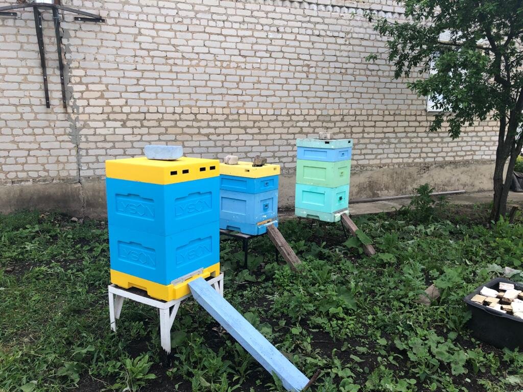пасека-2.0