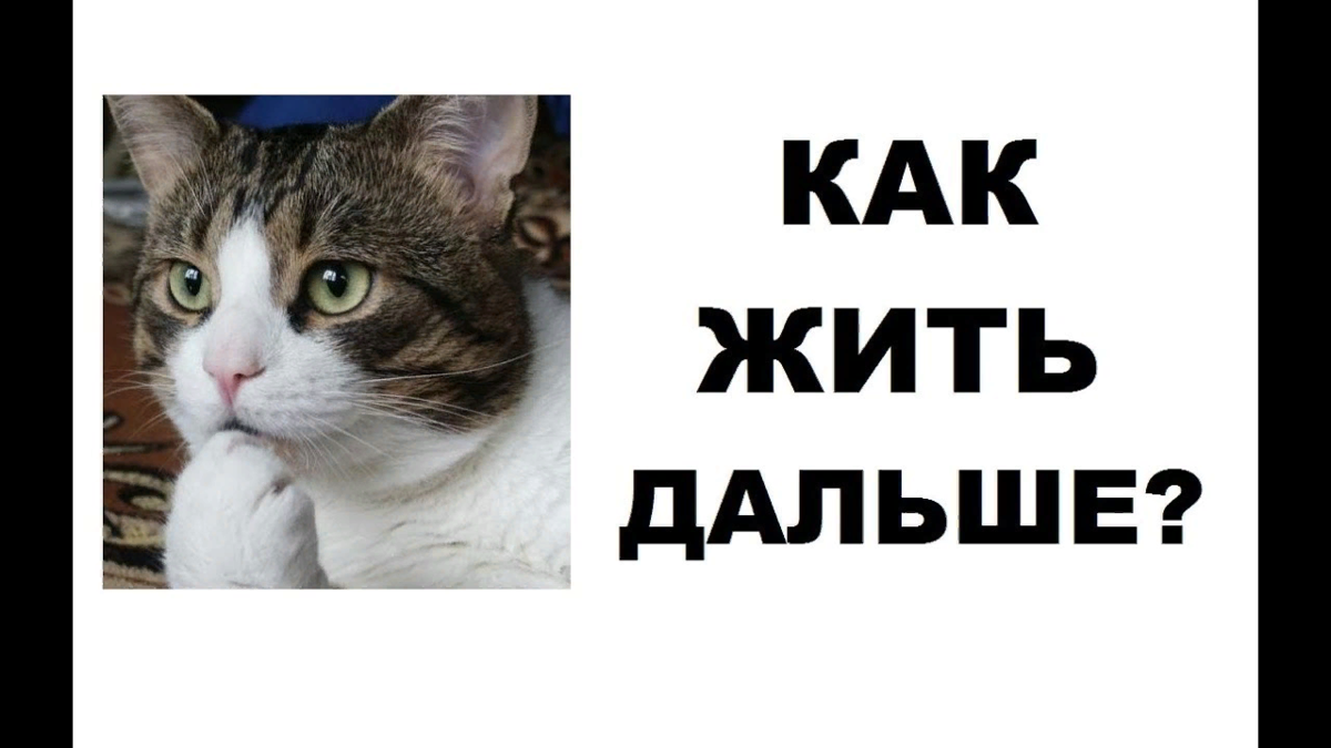 Поставь подальше. Как жить дальше. Как жить дальше картинки. Будем жить дальше. Как дальше жить прикол.