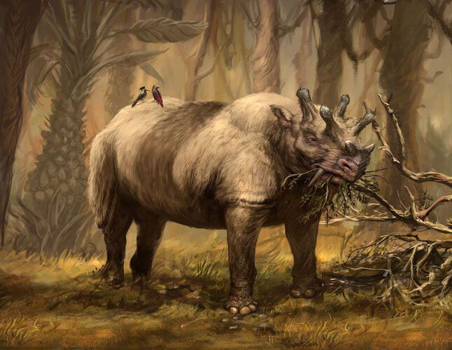 Скорее всего, эти животные не формировали стад, а бродили поодиночке или небольшим группами в 5-10 особей. 