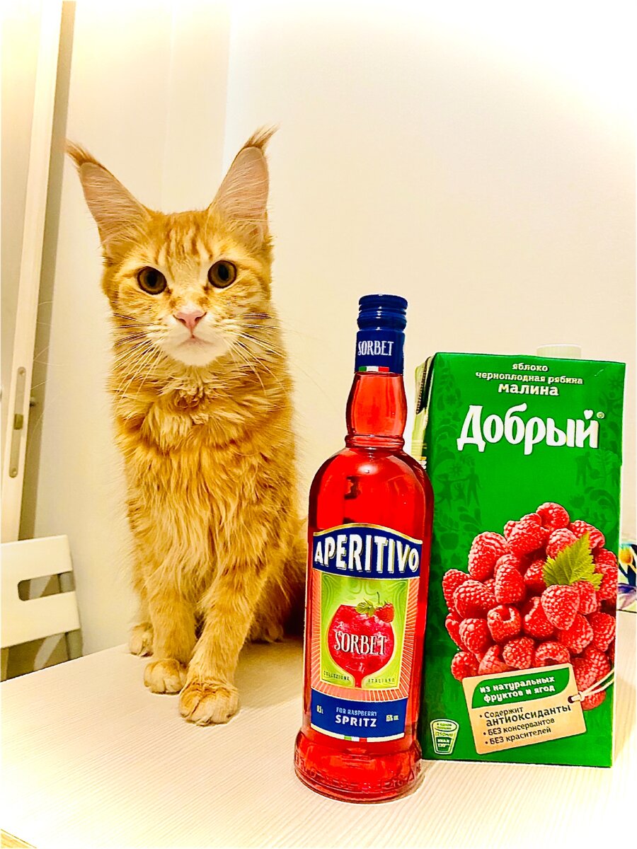 Если алко дорогой не факт что качественный ‼️