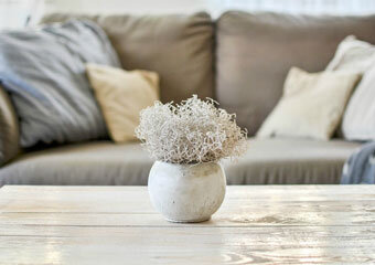 Кому можно оставить квартиру на время своего отсутствия?