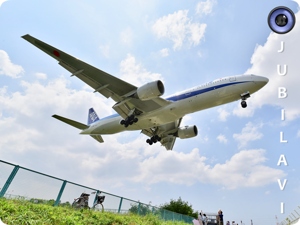 "Вижу парк - иду на посадку." (с) вредный пилот