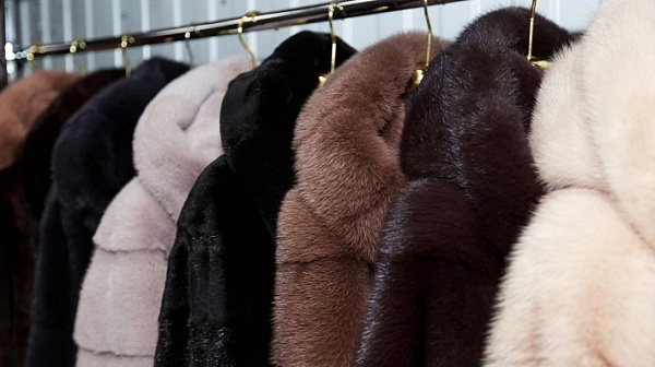 Вежливость – лучшее оружие вора!