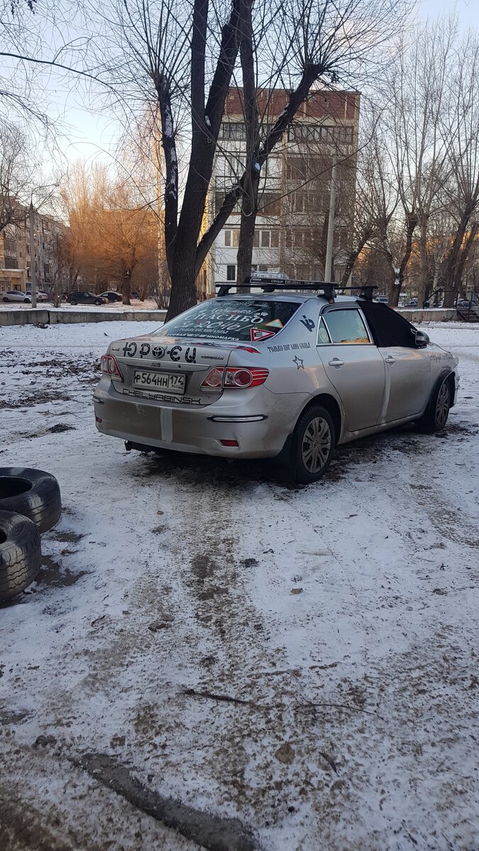 Фото: Александр Котов