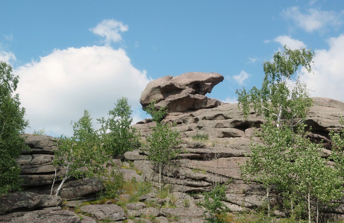 Голова "дракона"