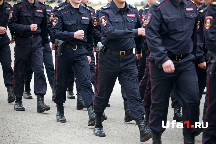 Яндекс картинки