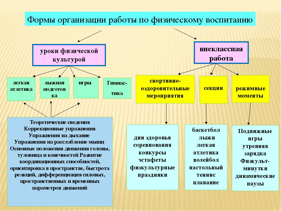 Физический вид деятельности. Формы организации занятий по физической культуре. Форма организации образовательного процесса по физкультуре. Формы занятий по физической культуре в школе. Основная форма организации занятий физическими